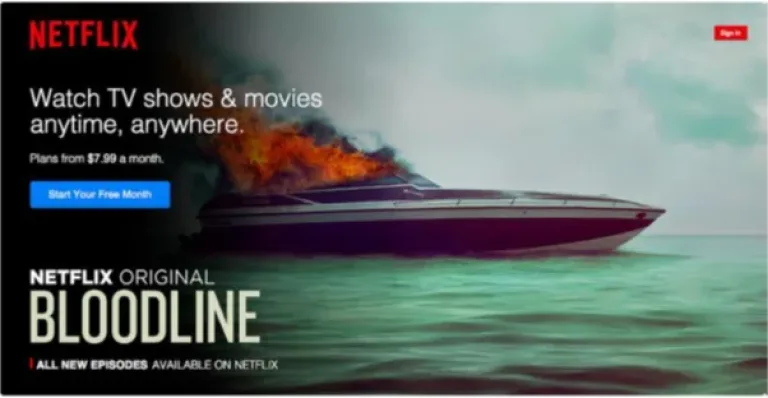 Value Proposition Example: Netflix